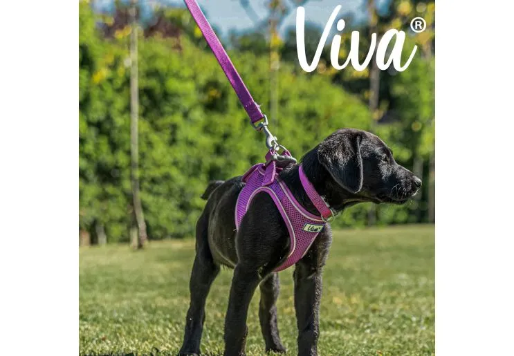 Ancol - Viva Nylon Padded Snap Lead - Purple - 100cm x 12mm (Max 20kg)