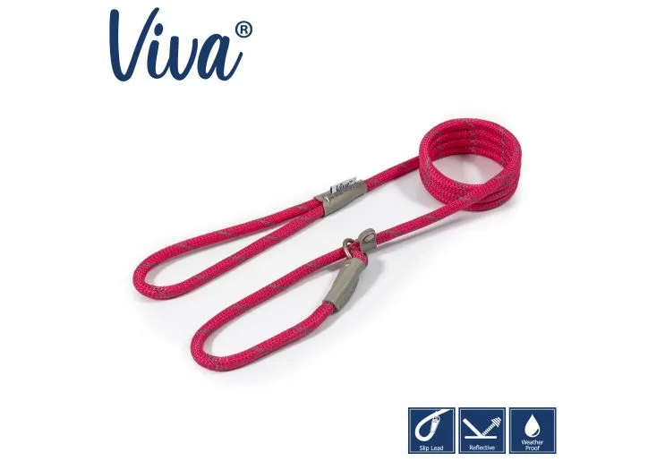 Ancol - Viva Nylon Reflective Rope Slip Lead - Lime - 150cm x 12mm (Max 50kg)