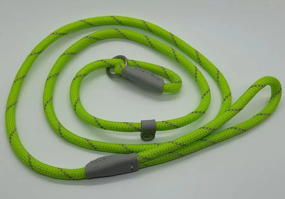 Ancol - Viva Nylon Reflective Rope Slip Lead - Lime - 150cm x 8mm (Max 20kg)