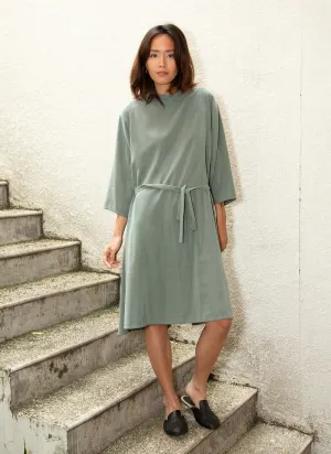 Branch Boxy A-Line Dress in Sage Green